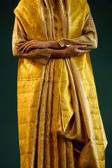Dull Gold Silk Kanjivaram Sari
