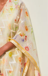 Handwoven Zari Organza Sari with print
