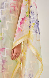 Handwoven Zari Organza Sari with print