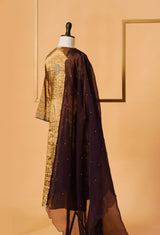 Tissue Hand Embroidered Suit Set