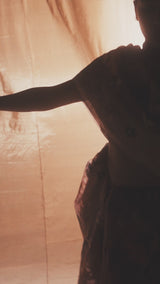 Brown Banarasi Organza Sari