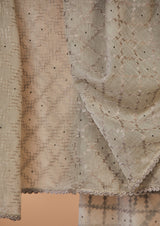 Grey Mal Chanderi Embroidered Dupatta