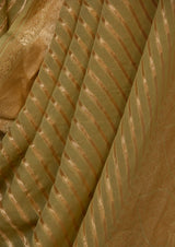 Mint Green Banarasi Khaddi Georgette