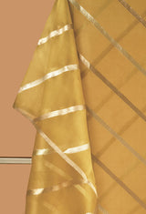 Organza Dupatta with Diagonal Zari Lines