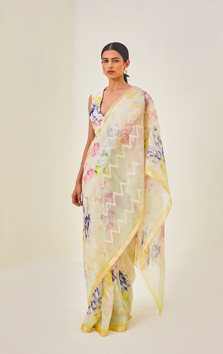 Handwoven Zari Organza Sari with print