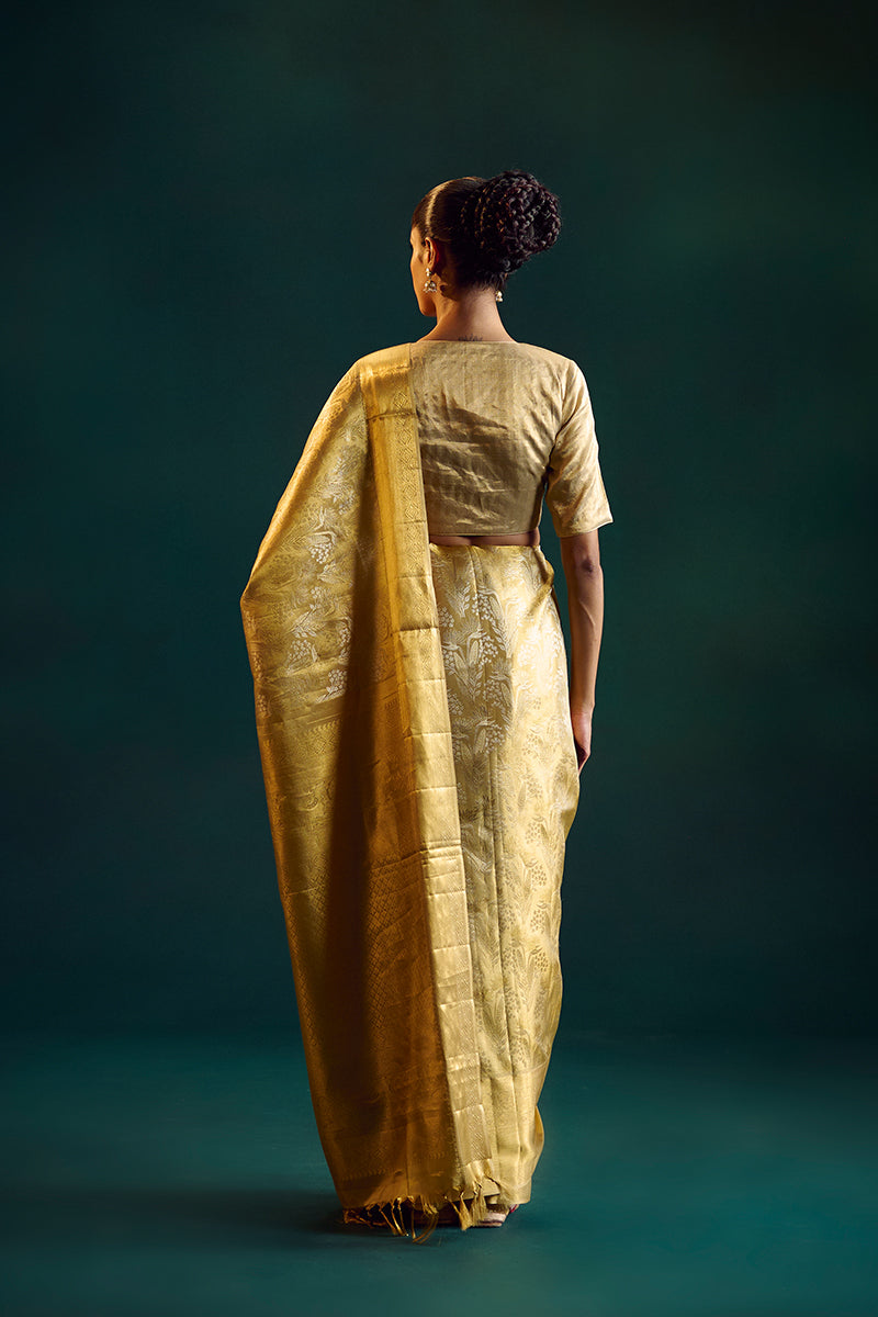 Gold Silk Kanjivaram Sari