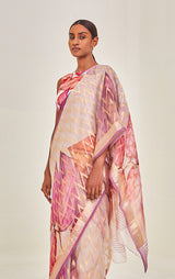 Handwoven Zari Organza Sari with print