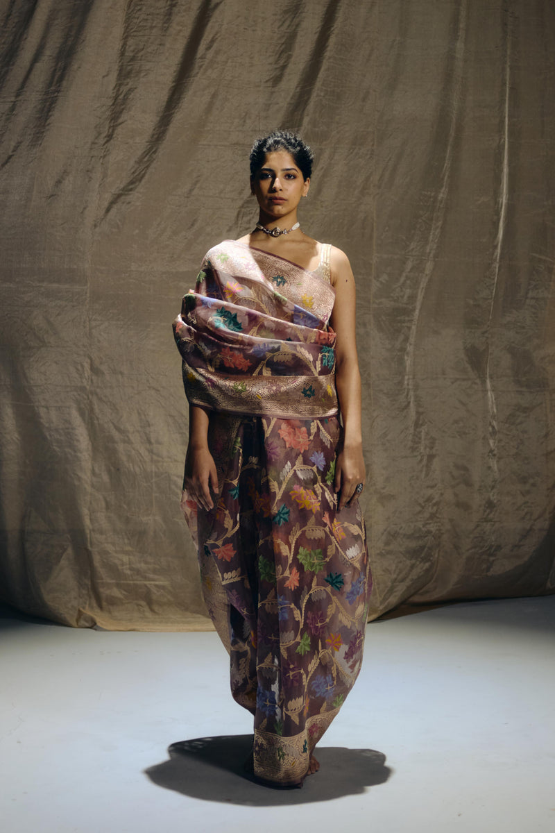 Brown Banarasi Organza Sari