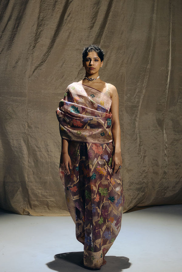 Brown Banarasi Organza Sari