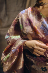 Brown Banarasi Organza Sari
